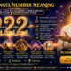 Meaning of 222 Angel Number | Spiritual, Love, Relationship, Career, Money, Twin Flame & Manifestation Guide